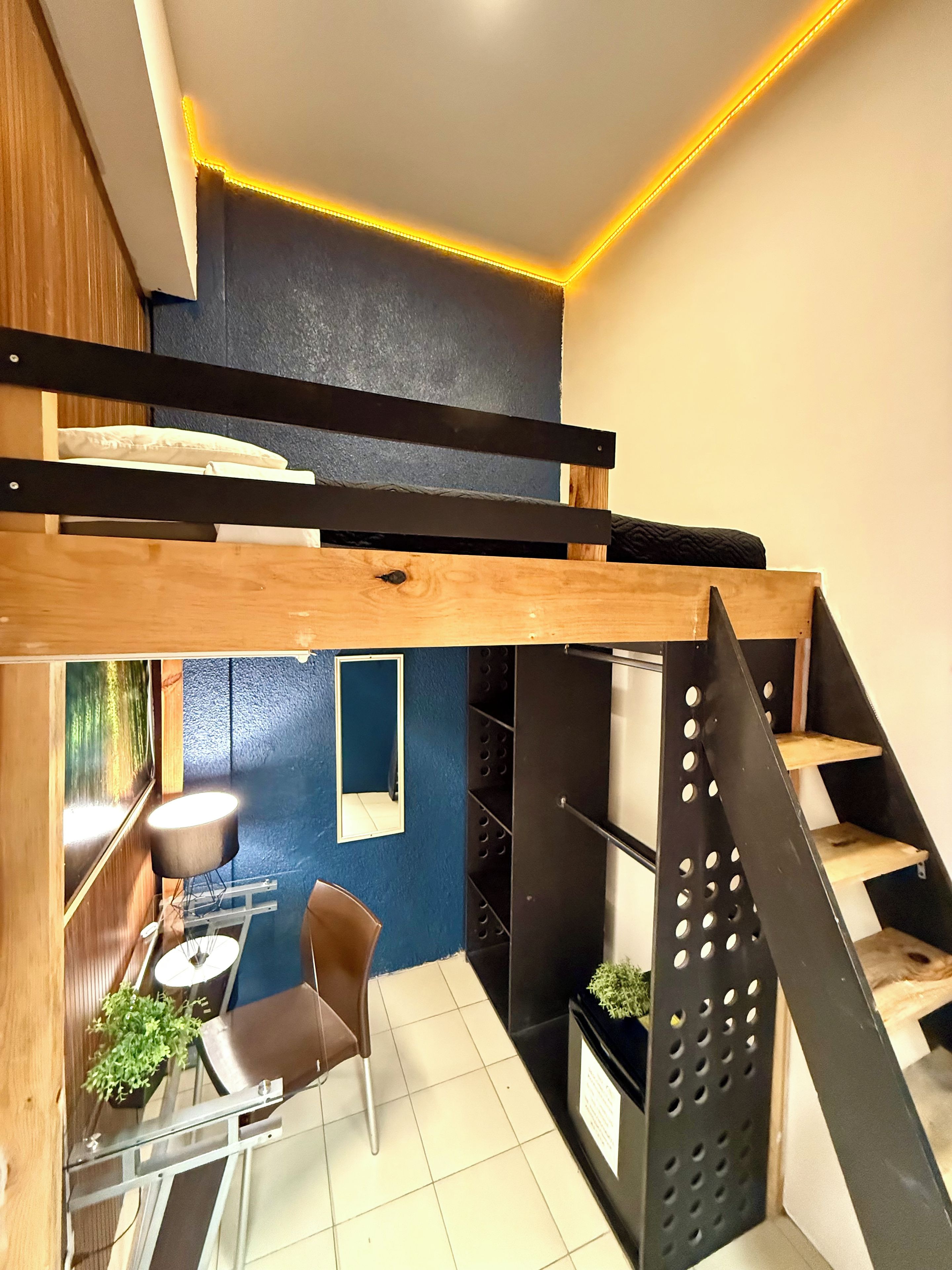 Una habitación con literas, un escritorio con silla, una mesita pequeña y una planta en maceta.