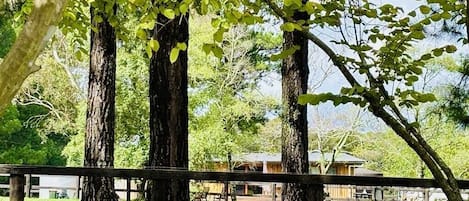 Parco della struttura
