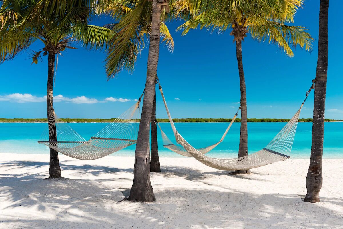 A beach scene with three hammocks tied between palm trees, overlooking a clear blue sea.