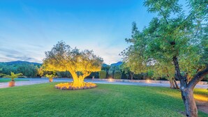 A well-maintained lawn with a large tree illuminated by lights, surrounded by a stone wall and a clear sky.