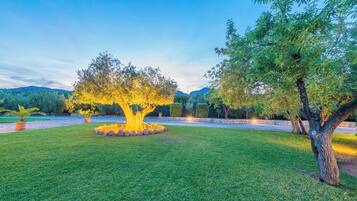 Terrein van de accommodatie