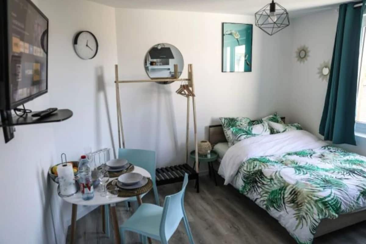 Standard Studio, 1 Double Bed, Non Smoking, Kitchen | 1 bedroom, hypo-allergenic bedding, Select Comfort beds