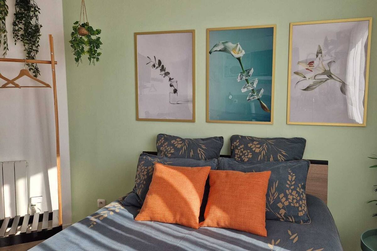 A bed with patterned pillows, a hanging plant, and three framed botanical prints on the wall.