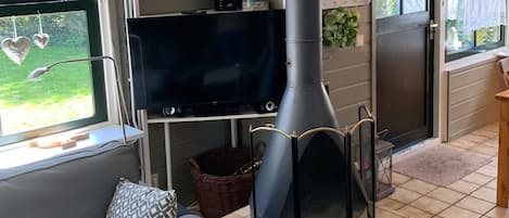 Smart TV, chimenea y libros