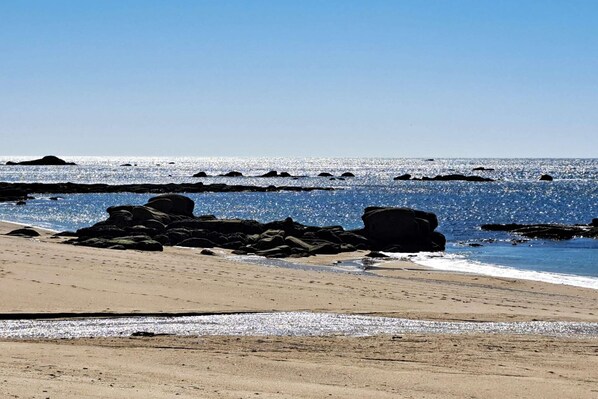 Tæt på stranden