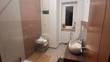 Shower, hair dryer, bidet, towels