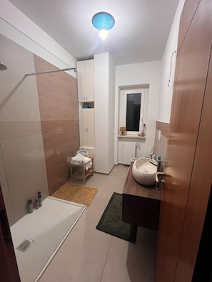 Shower, hair dryer, bidet, towels