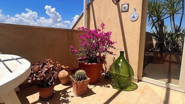 Un patio soleggiato con tavolo, diverse piante in vaso e un muro decorato con piatti.