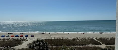 On the beach