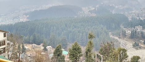 الإطلالة من المنشأة