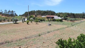 Propiedad rural con una casa amarilla, patio cercado y olivos.