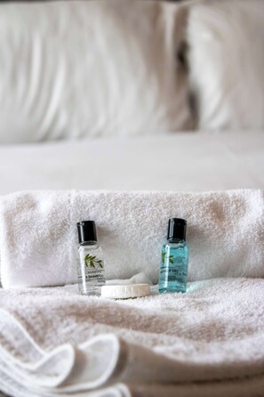 Douche, sèche-cheveux, serviettes fournies