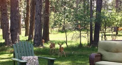 Ponderosa House | Huge Yard, Family-Friendly Retreat In Charming Story, Wyoming