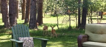 Ponderosa House | Huge Yard, Family-Friendly Retreat In Charming Story, Wyoming