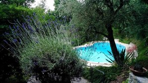 A swimming pool surrounded by lush greenery and trees. - Antico Fienile Belvedere (Gardone Riviera)
