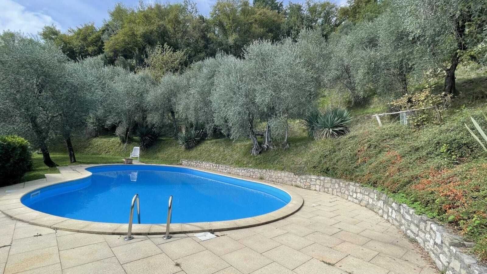 A swimming pool with a stone border and a metal ladder, surrounded by trees and a stone wall.