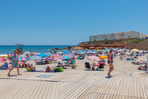 Flamingo Coast by Fidalsa