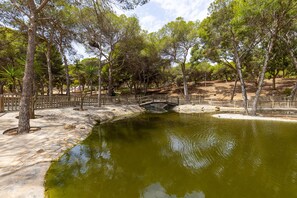 Property grounds - Sea Hope by Fidalsa (Guardamar del Segura)