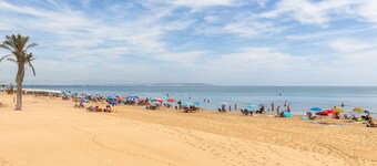 Fidalsa Feel the Sea