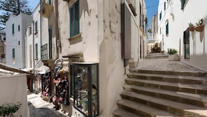 Eine enge Gasse mit Steinstufen, die zu einem Gebäude mit einem Laden im Erdgeschoss führen.