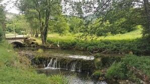 Un estanque tranquilo con una pequeña cascada, rodeado de abundante vegetación y un puente de piedra.