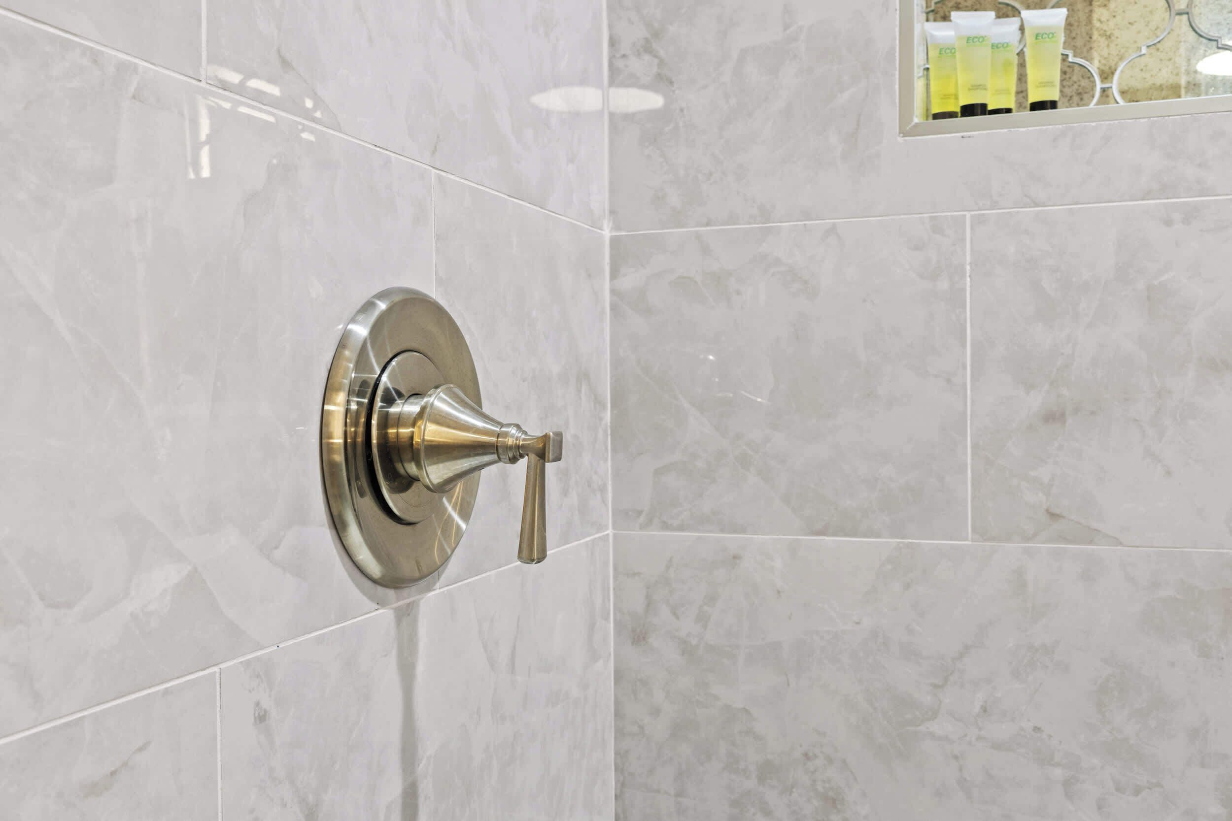Shower, hair dryer, towels, shampoo