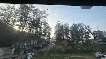 山景