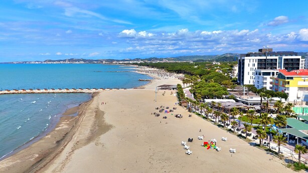 Una playa con un paseo marítimo, palmeras y edificios al fondo.