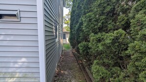 A narrow brick pathway leading to a house with a white exterior and a tall, dense green hedge.