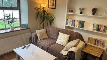 Smart TV, fireplace, books, video library