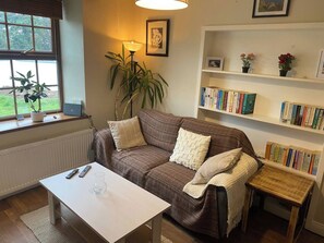 Smart-tv, eldstad, böcker och ett filmbibliotek