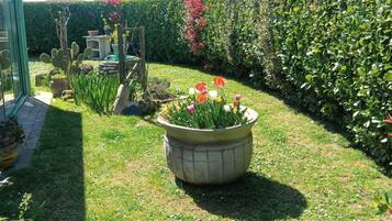 Terrein van de accommodatie