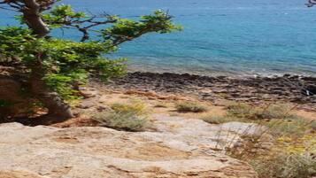 Apartment | View from property