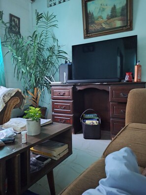 スマートテレビ、書庫、ステレオ