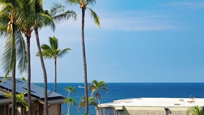 A beachfront property with palm trees, a view of the ocean, and a building with a flat roof.