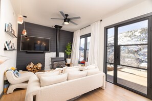 Televisión, chimenea y libros 