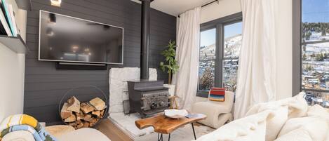 Televisión, chimenea y libros