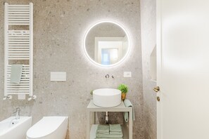 Shower, hair dryer, bidet, towels