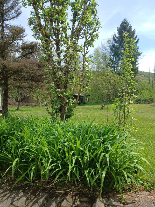 Property grounds - Vacation apartment Zum Symposion (Namborn)