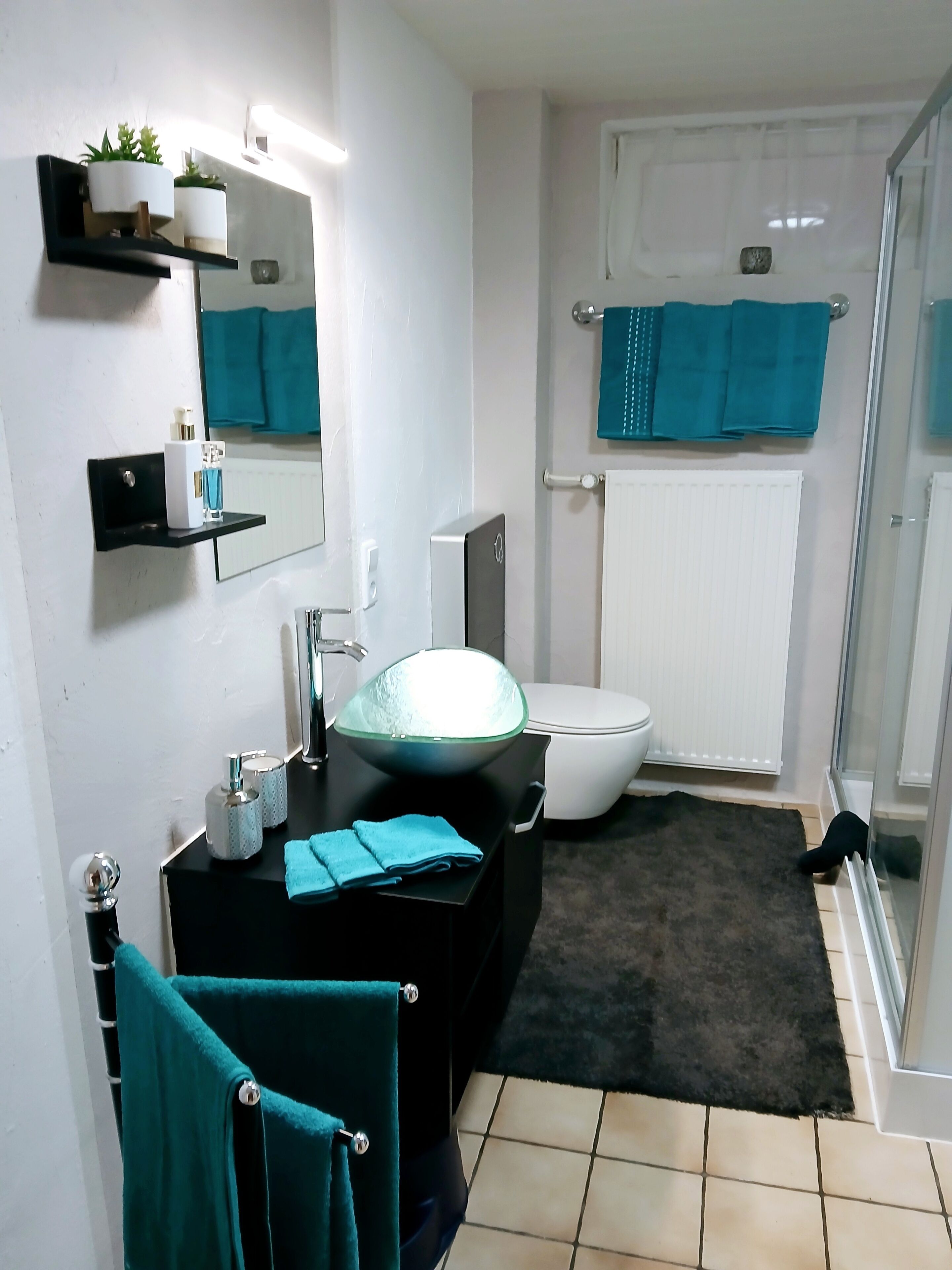 Shower, towels, toilet paper