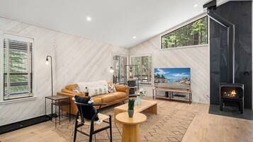 Smart TV, fireplace, books, computer monitors