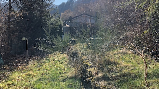 Un rustico chalet immerso in una fitta foresta sotto un cielo sereno.