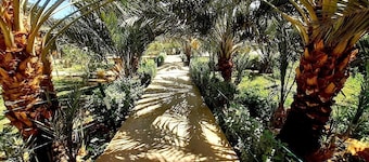 Sun Palmeraie