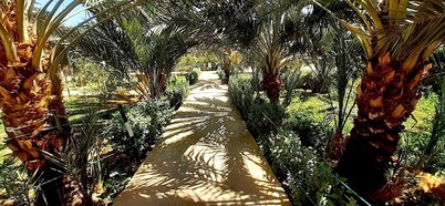 Sun Palmeraie