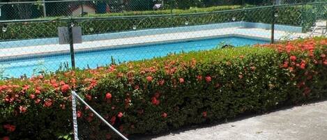 A tennis court with a net, surrounded by a fence and a hedge with red flowers.