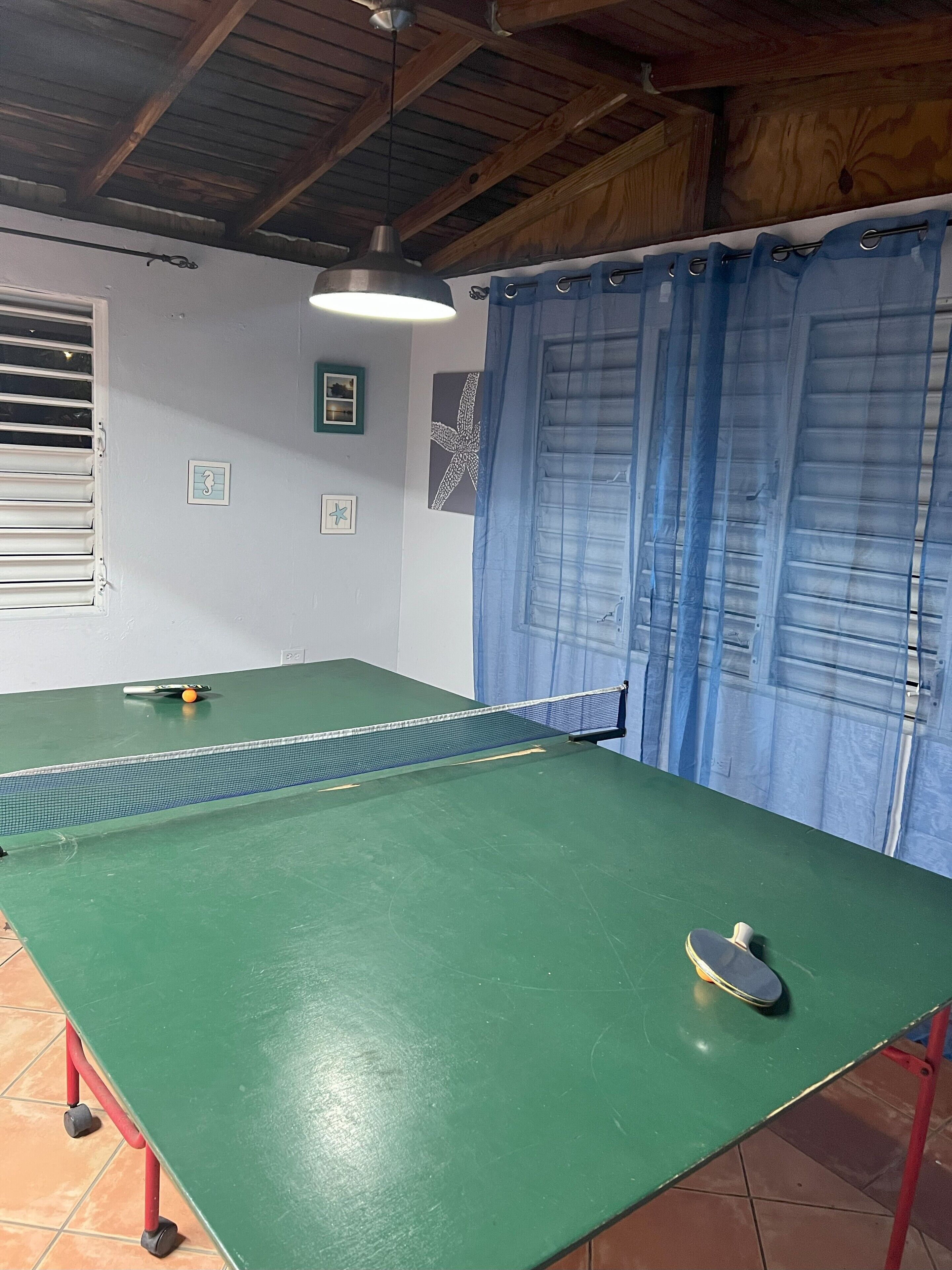 A ping pong table with a net, a paddle, and a ball.