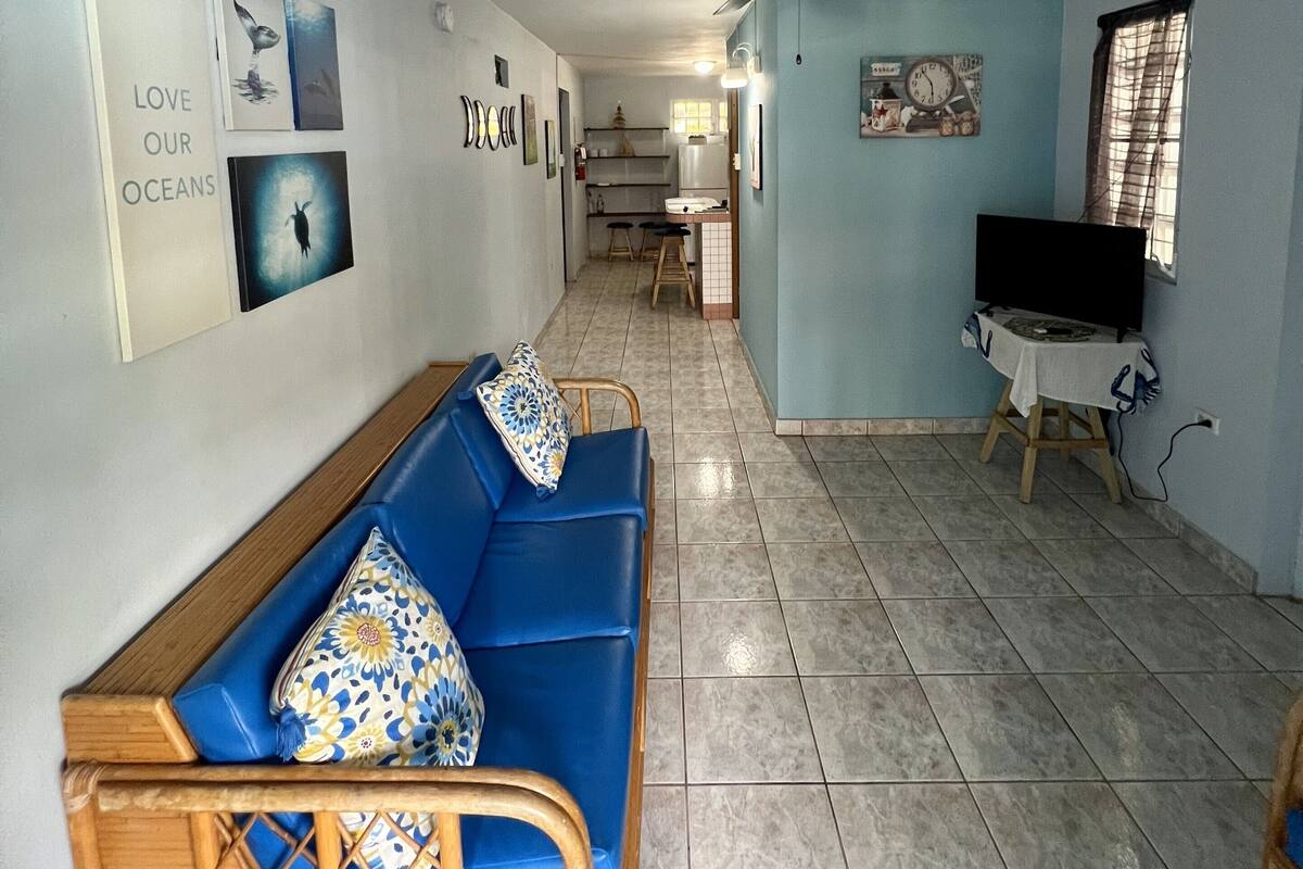 A living room with a blue sofa, a ceiling fan, and a TV on a table.