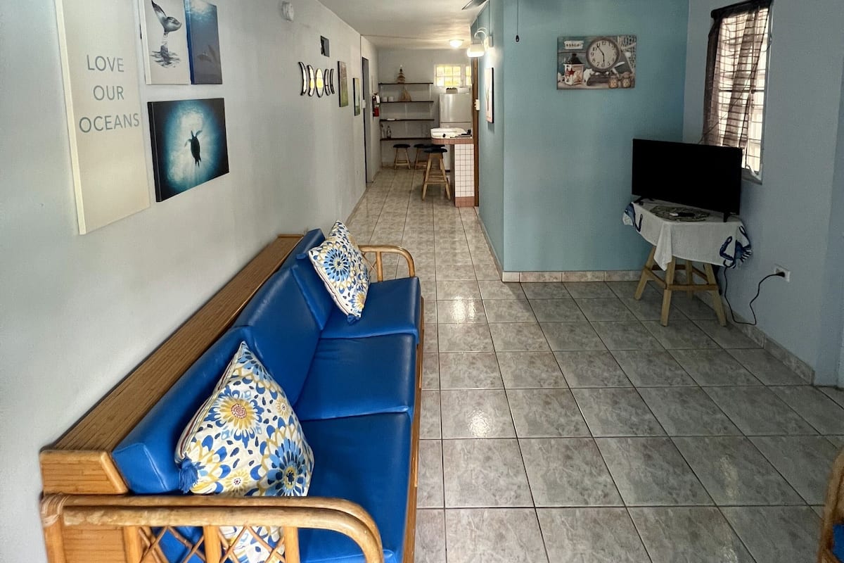Economy Villa, Garden View | Living area | Flat-screen TV