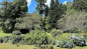 A well-maintained garden with various trees and shrubs, a clear blue sky, and a grassy area.