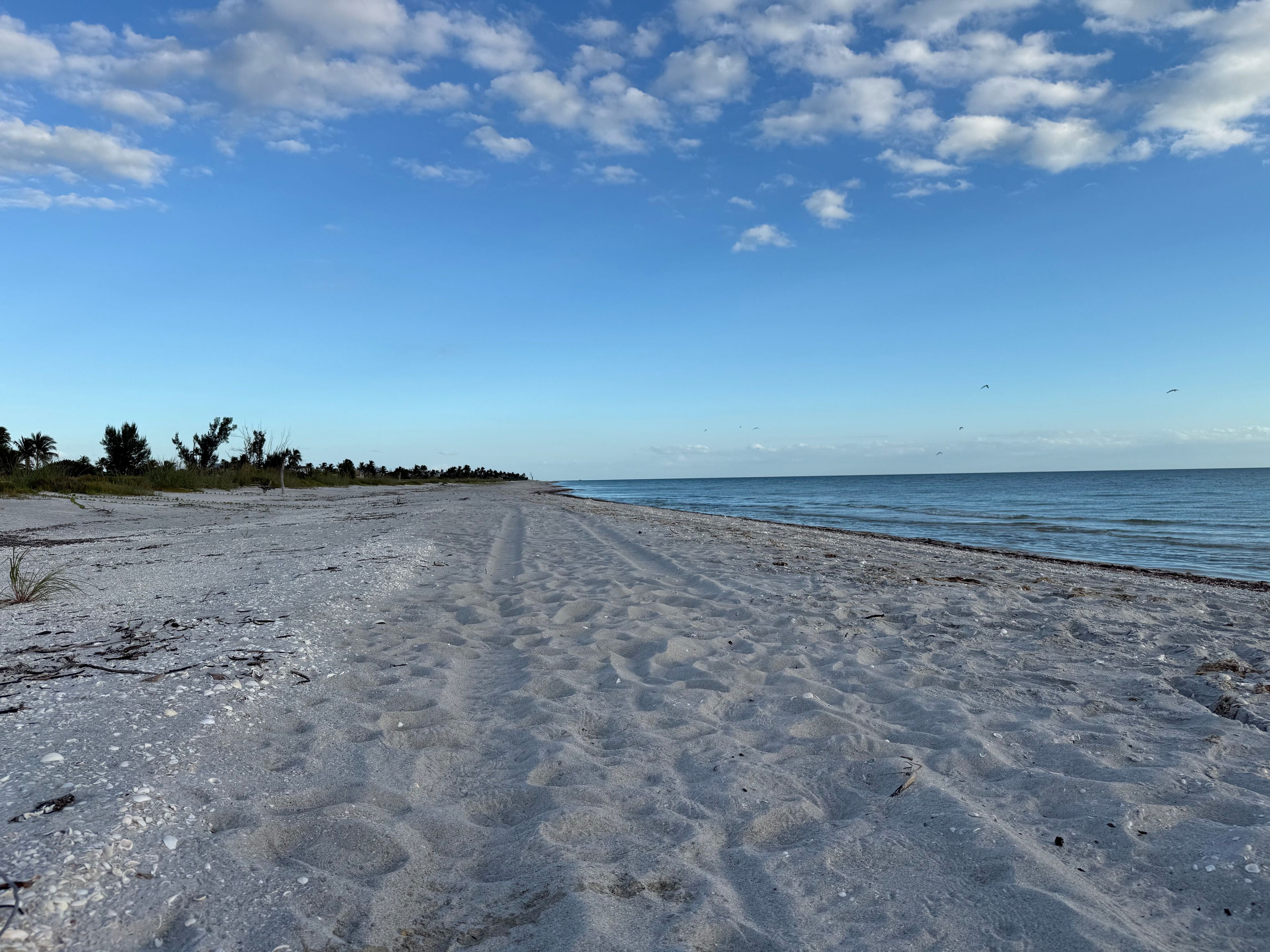 A beach with a clear sky and calm sea.